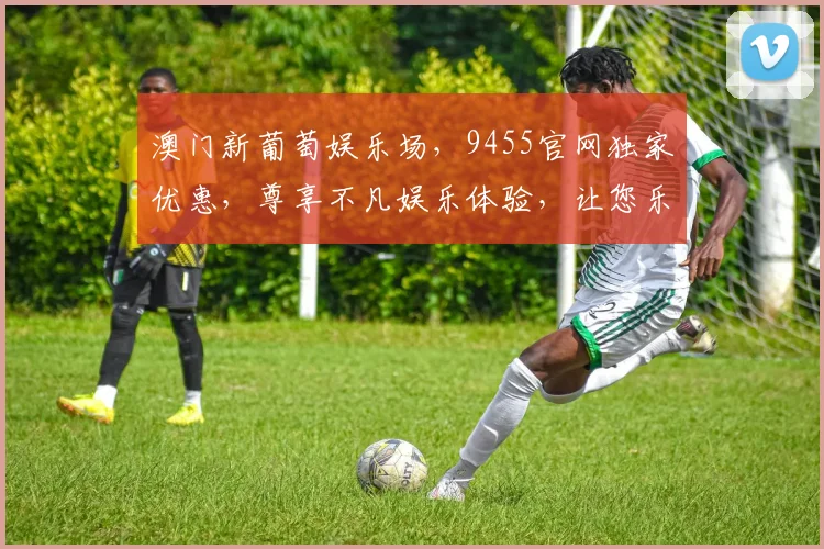 澳门新葡萄娱乐场，9455官网独家优惠，尊享不凡娱乐体验，让您乐享不停
