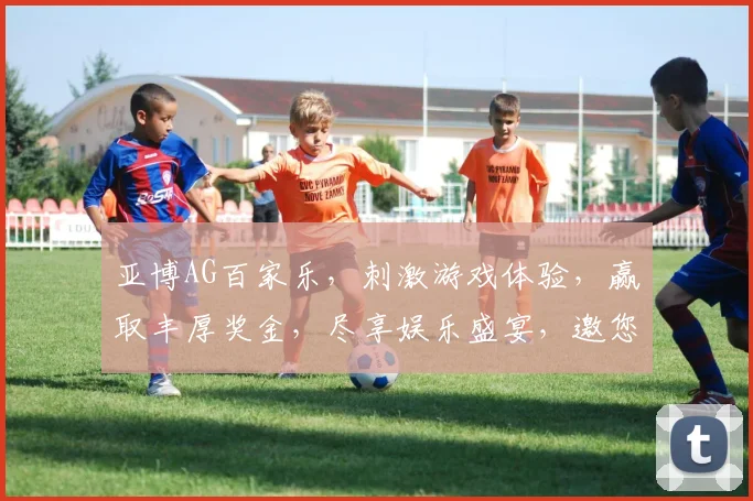 亚博AG百家乐，刺激游戏体验，赢取丰厚奖金，尽享娱乐盛宴，邀您共赴欢乐之旅
